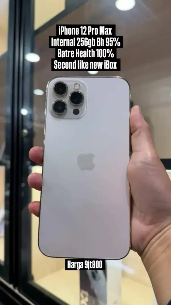 iPhone 12 Pro Max