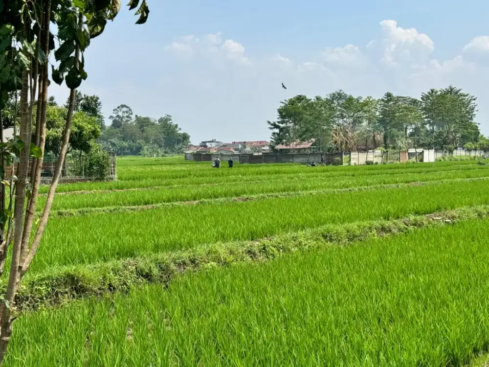 Tanah, terusan Al Fathu soreang