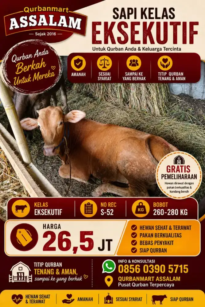 Jual Sapi Qurban Promo