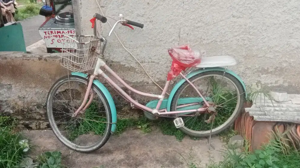 Sepeda perempuan dewasa