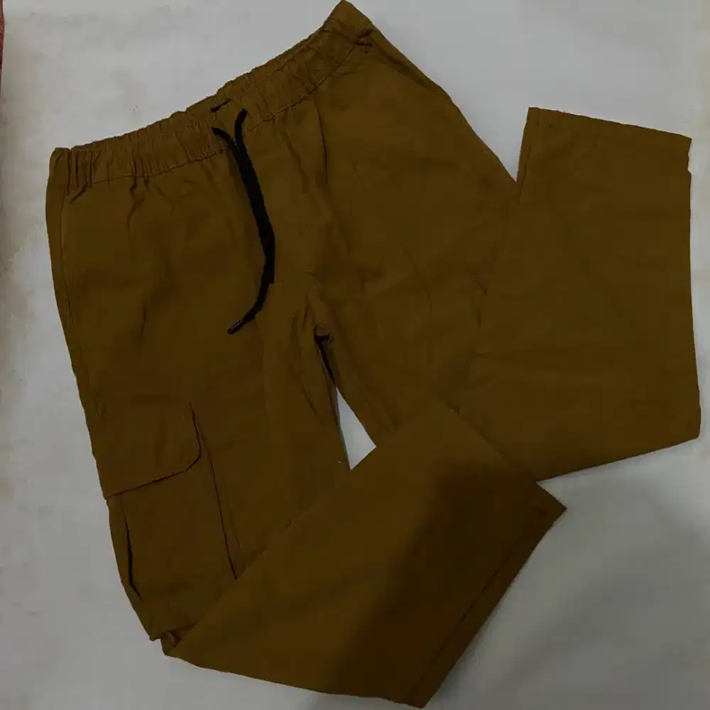 Celana Cargo Panjang Ribsgold Pria