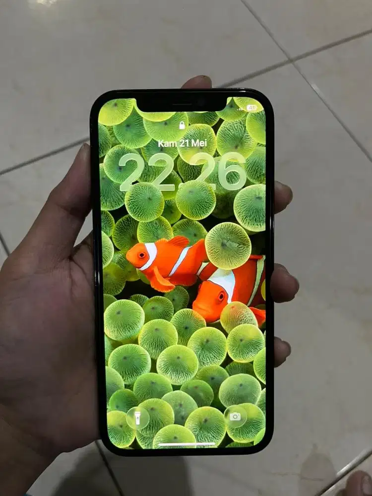 iphone 12 pro 256 ibox