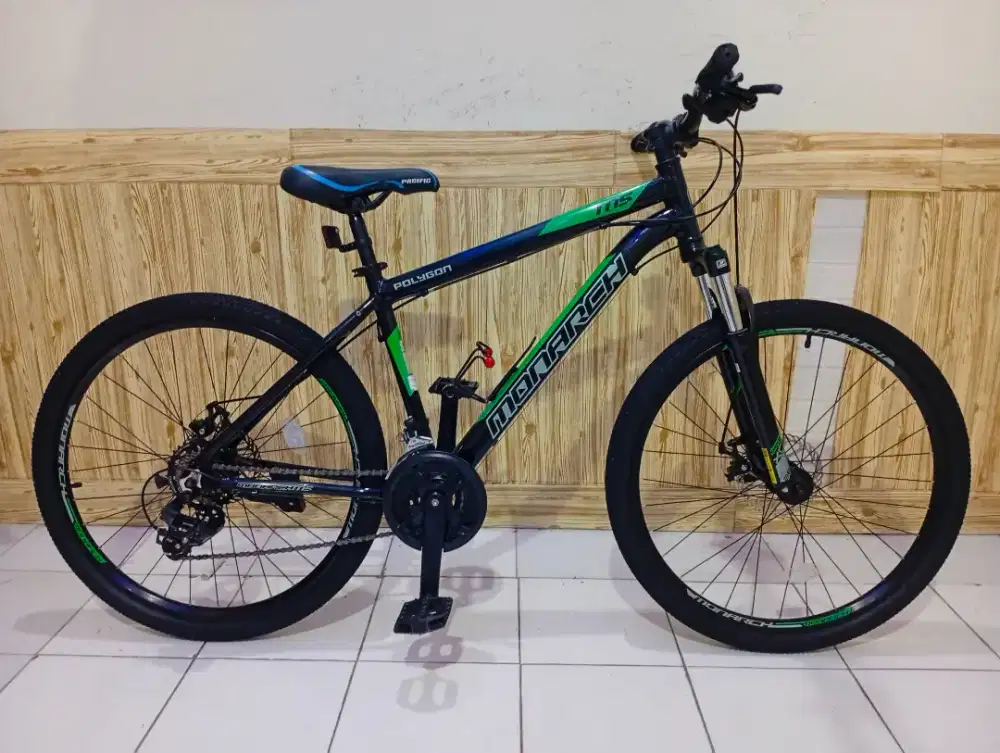 POLYGIN MONARCH 5 Like new