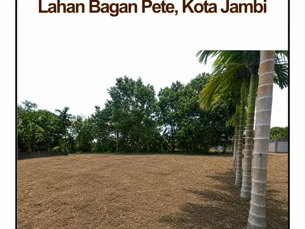 Dijual Cepat Tanah Kavling Rumah Tipe 50 Bagan Pete Pesona Jambi