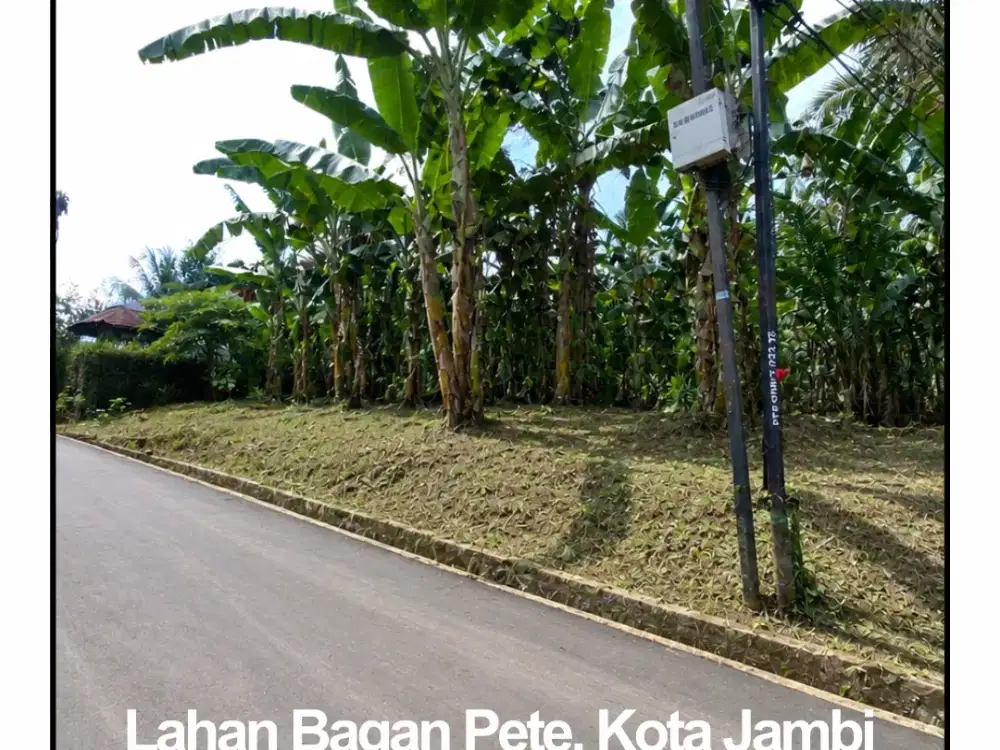 Rumah 1 Lantai di Bagan Pete Permai Mulai Dari 150 JTan