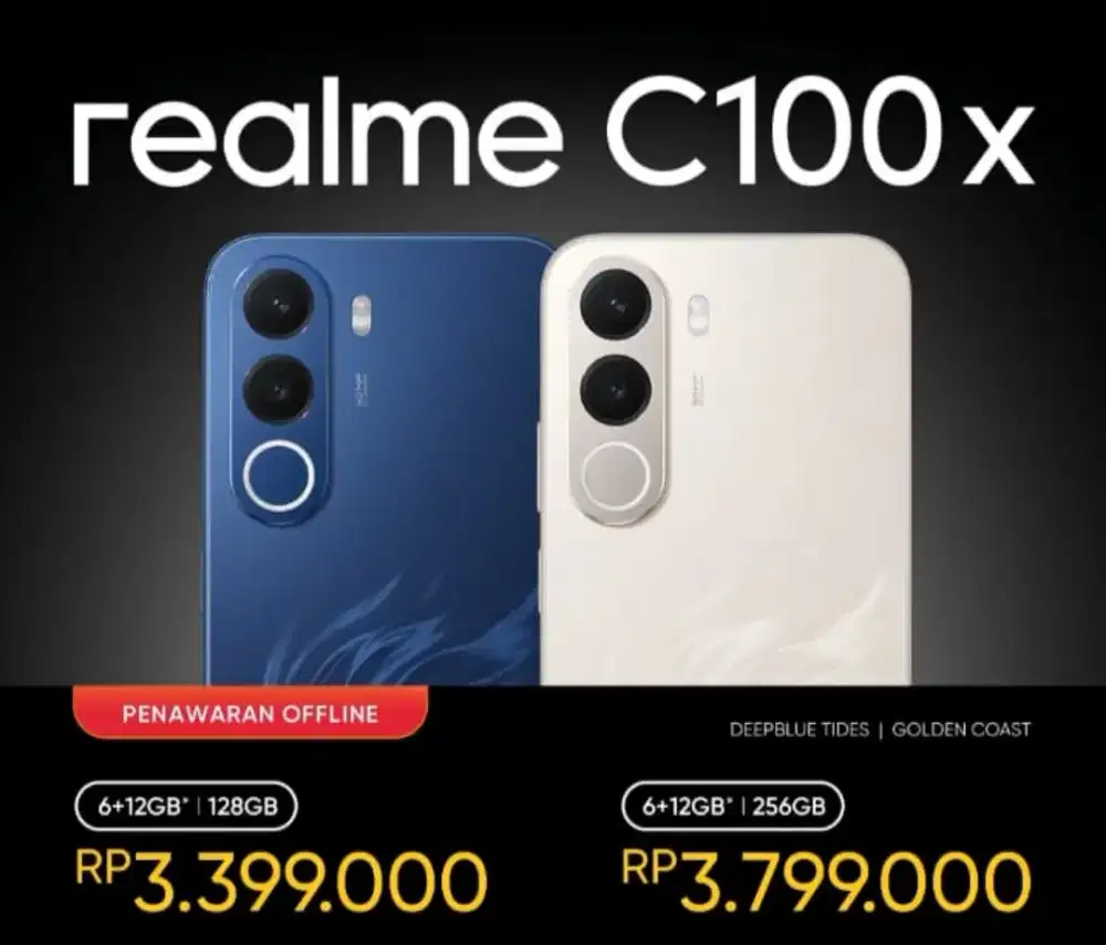 REALME C100X SERIES
