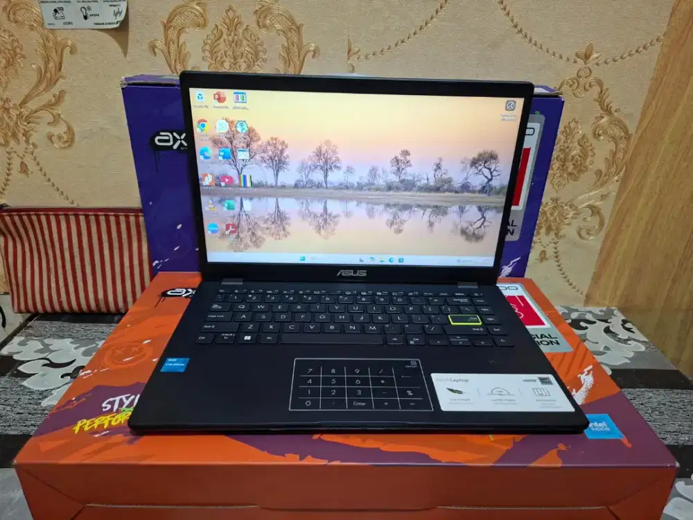 Laptop Asus Vivobook E410KA