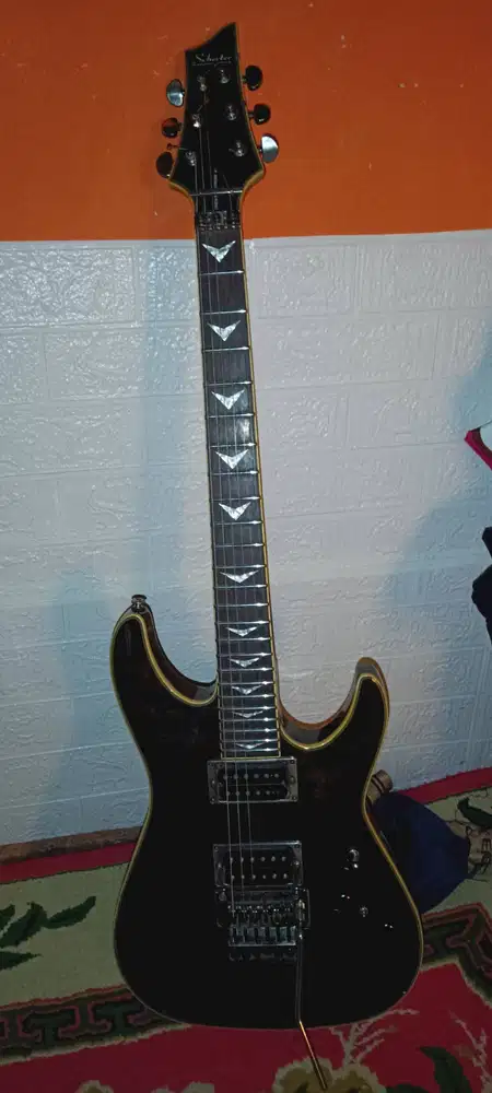 gitar schecterr