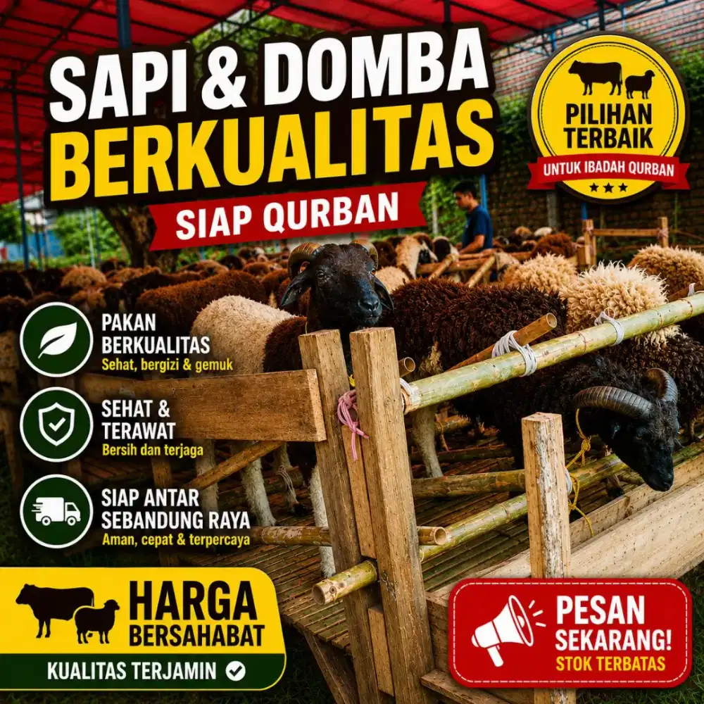 Sapi & Domba Qurban Sehat Terawat Siap Antar Se-Bandung Raya