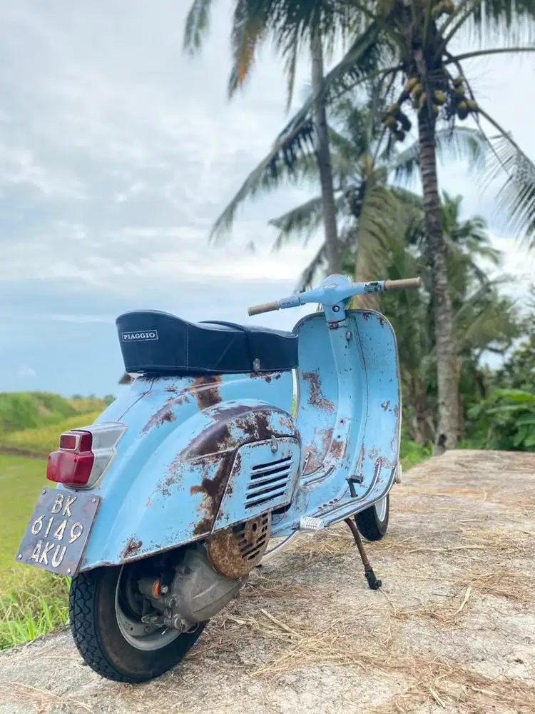 Vespa darling endemic