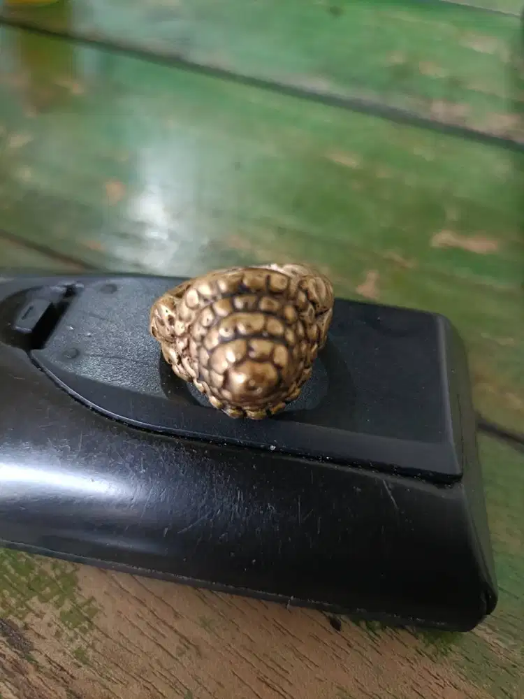 cincin tetua berukir cangkang kura2