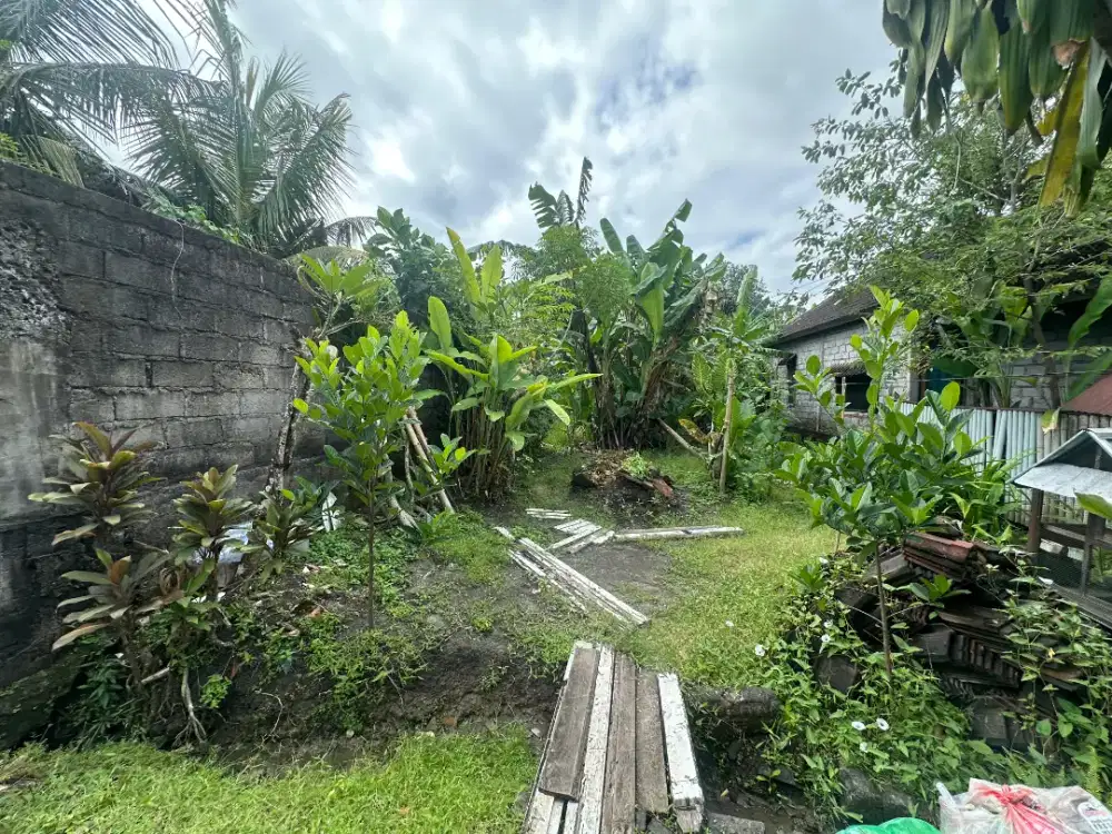 Jual tanah kosong zona kuning ling villa di Munggu Bantas Bali