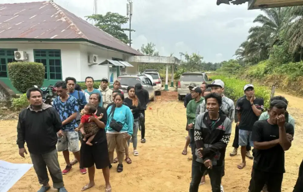 Lowongan Perkebunan Kelapa Sawit Kalimantan