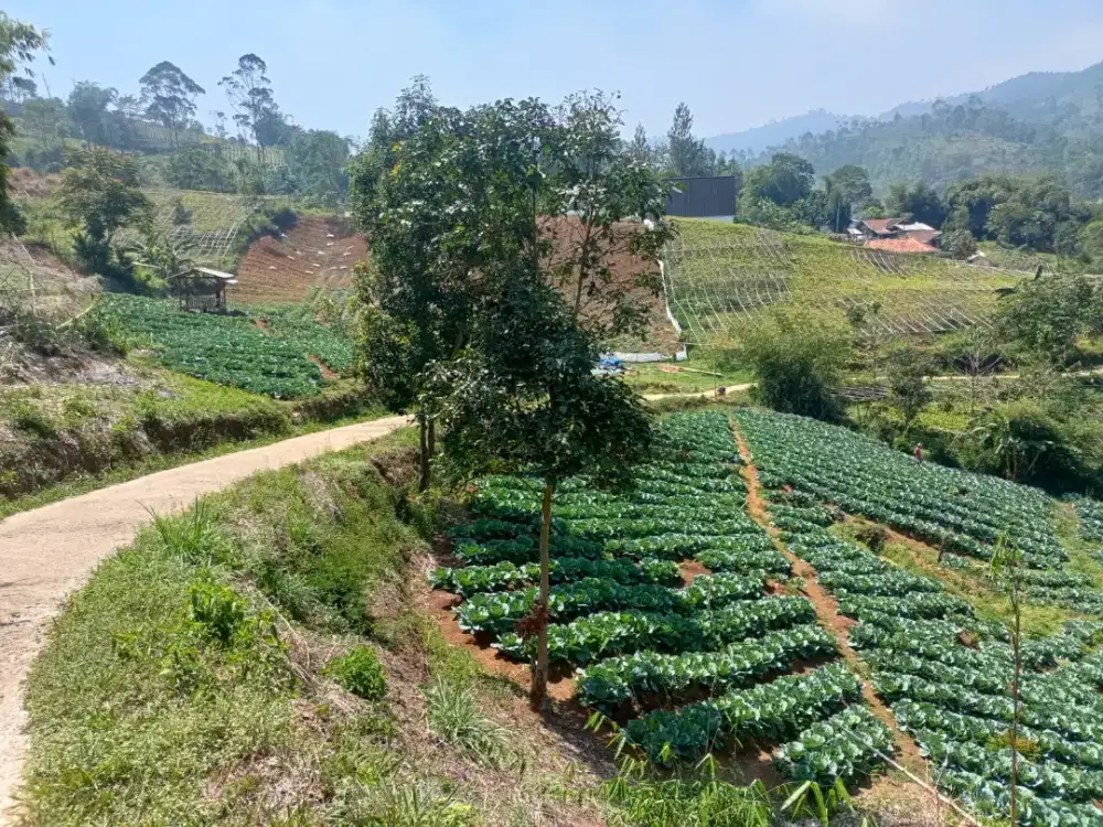 TANAH MURAH PUNYA MATA AIR DI CIWIDEY