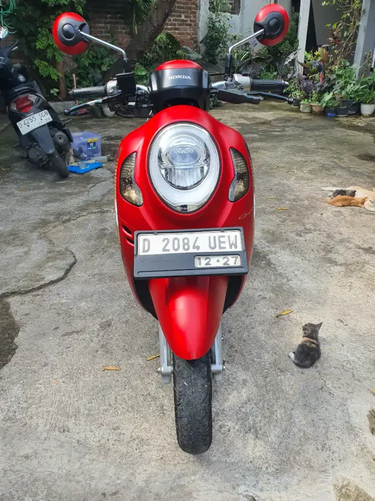 Scoopy keyles 2022