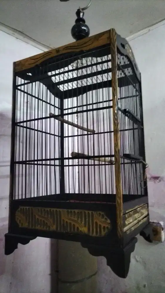 Sangkar dan burung sirtu