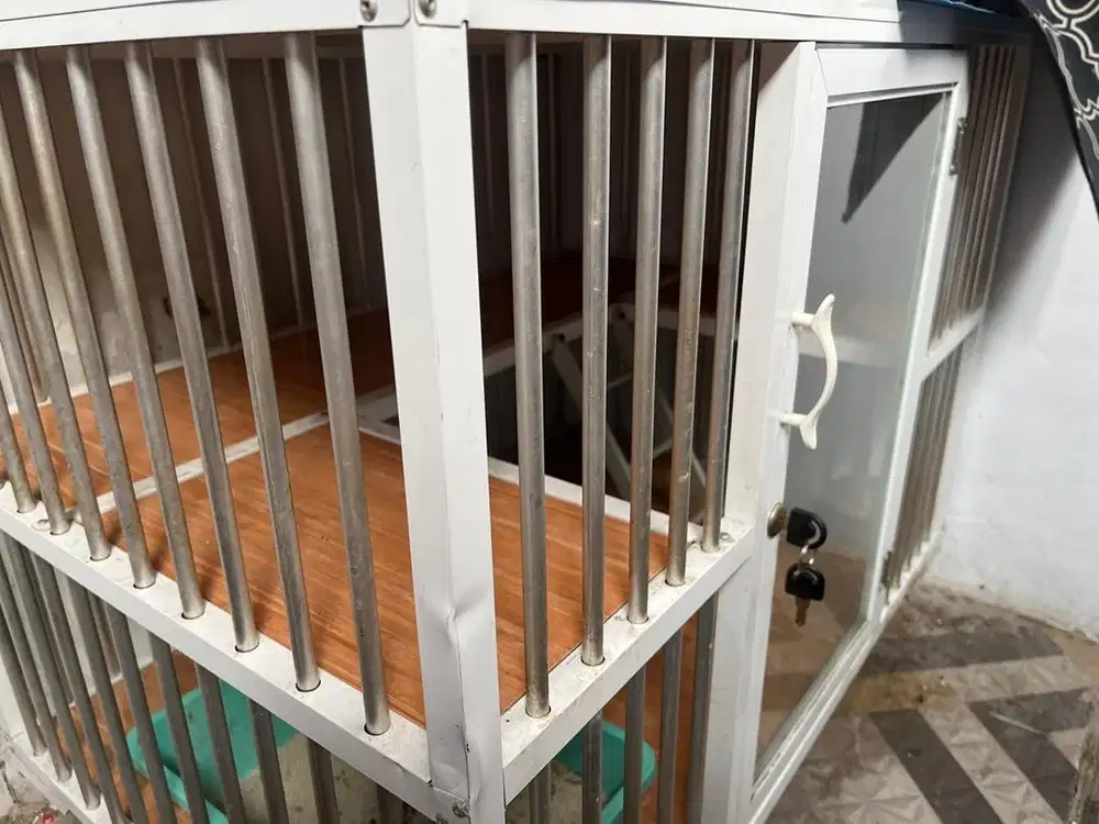 Kandang kucing masih bagus