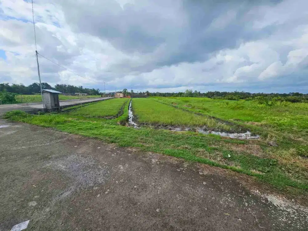 Tanah Prime di Pantai Kedungu Belalang Dekat The Love Beach Tanah Lot