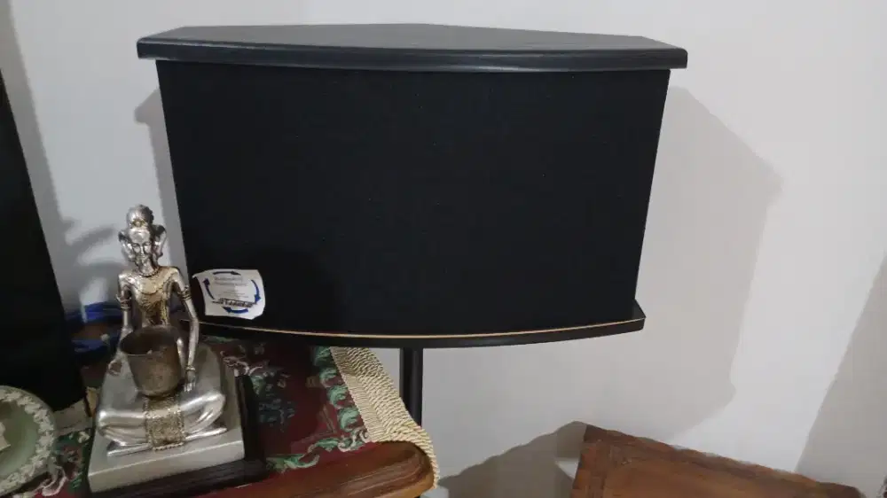 Bose 901 VI (Flagship Speaker System)