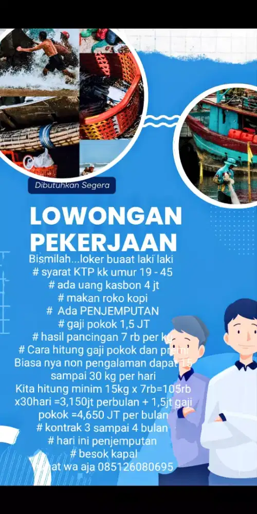 Butuh tenaga kerja buat abk kapal cumi
