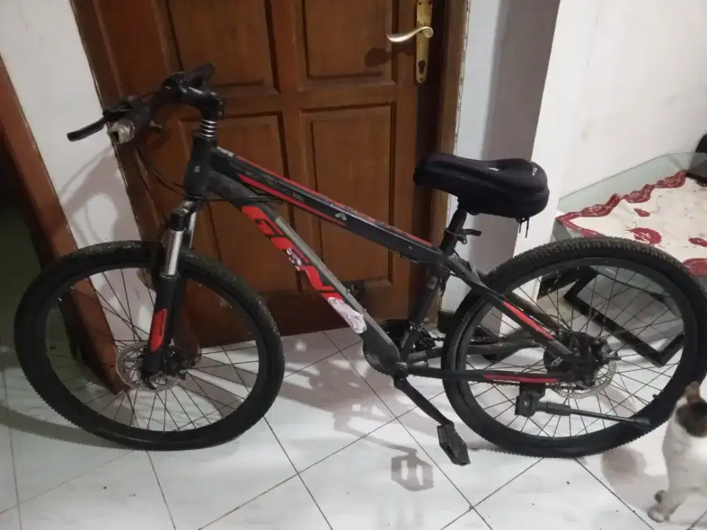 Sepeda batang untuk anak laki2