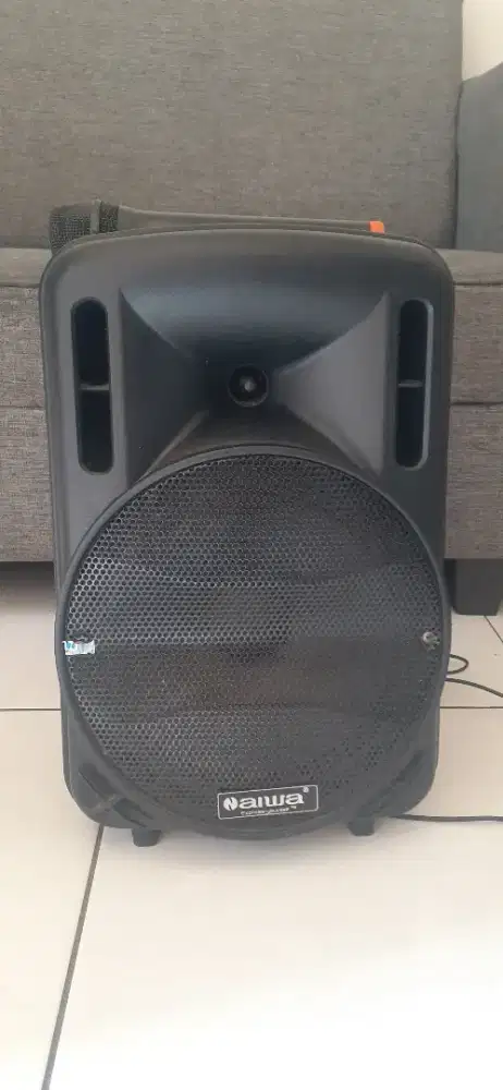 Aiwa Express yourself...was-110LVE