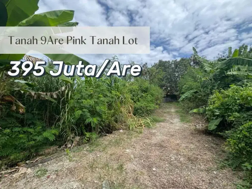 BUC SALE Tanah Zona Pink Dekat Tanah Lot