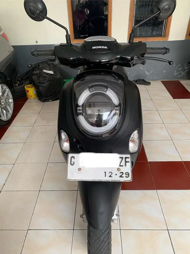 Scoopy new 2024