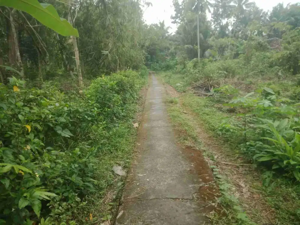 Tanah Murah dekat stadion cangkring wates