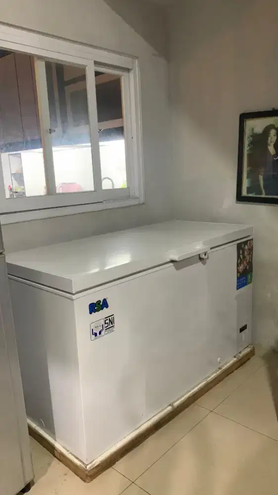 Freezer RSA CF-460