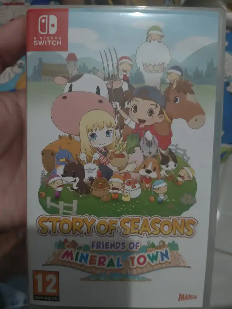 Story of seasons mineral town Nintendo Switch