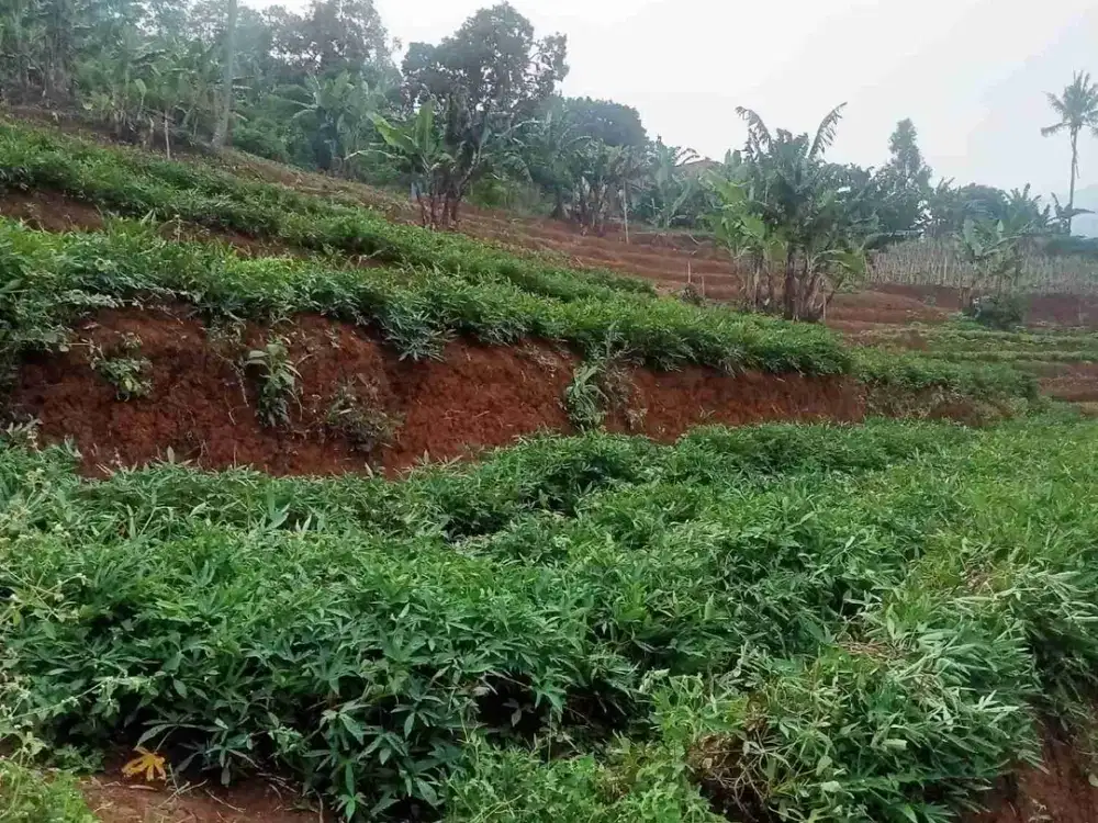 Tanah Kavling Termurah Ujung Berung 300 rb per m2 jual cepat