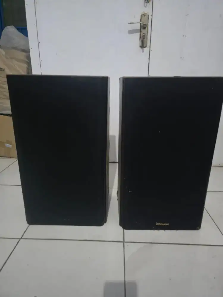 Loudspeaker Pioneer