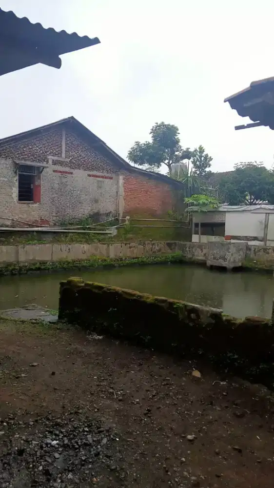Rumah dijual ( di purwokerto )