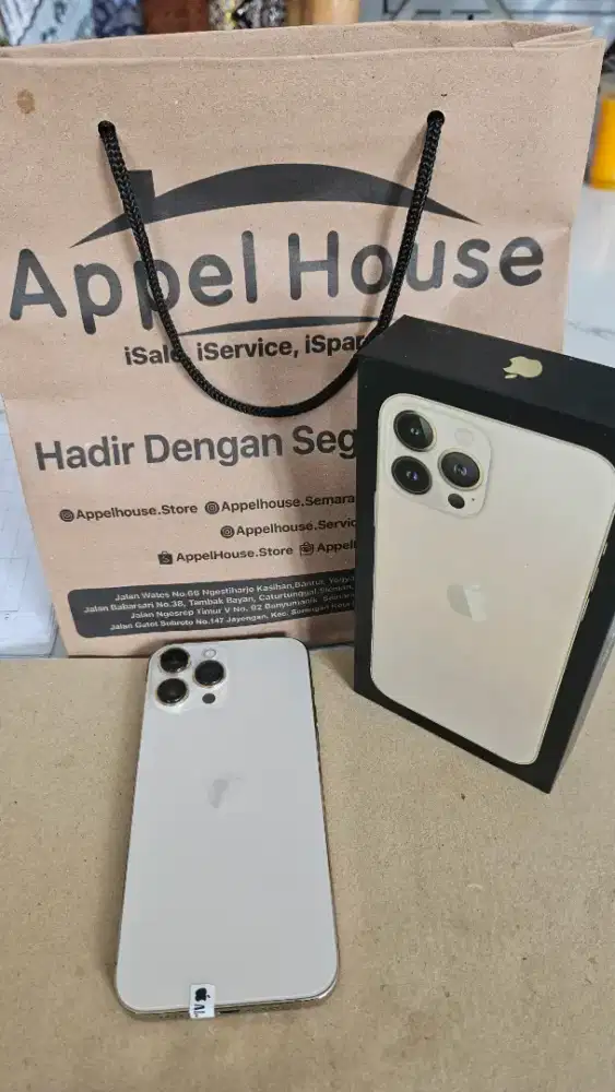 Iphone 13 pro max beacukai