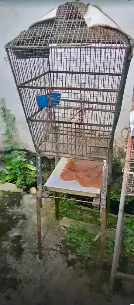 Dijual kurungan burung