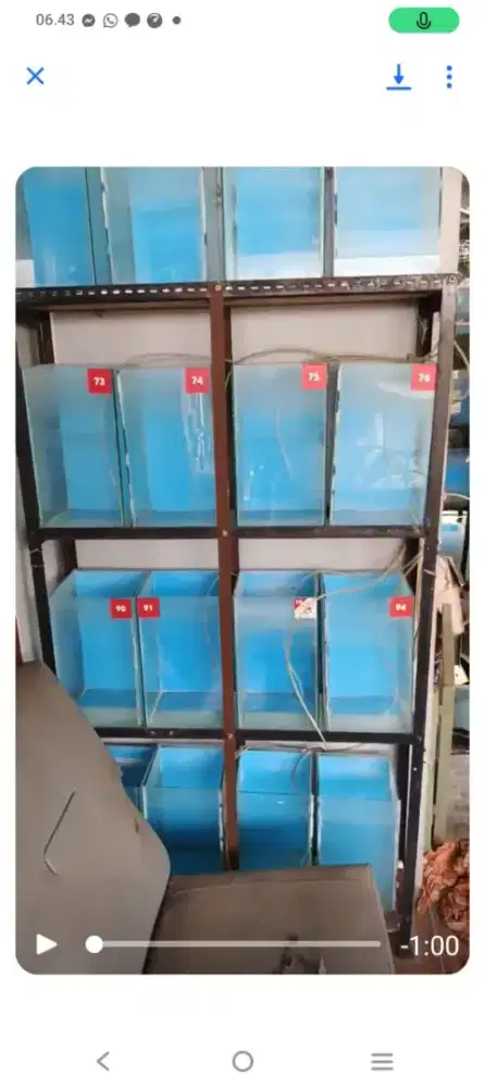Aquarium borongan cocok buat farm/toko