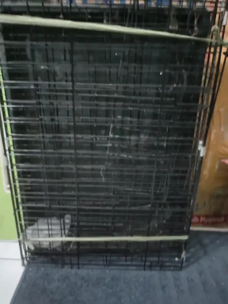 KANDANG HEWAN PIARAAN