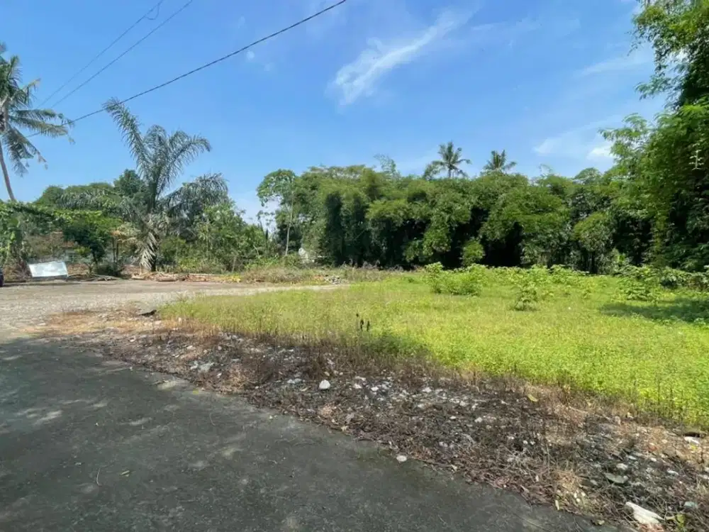 Tanah Sejuk Favorit untuk Investasi Villa dan Hunian Private di Sleman