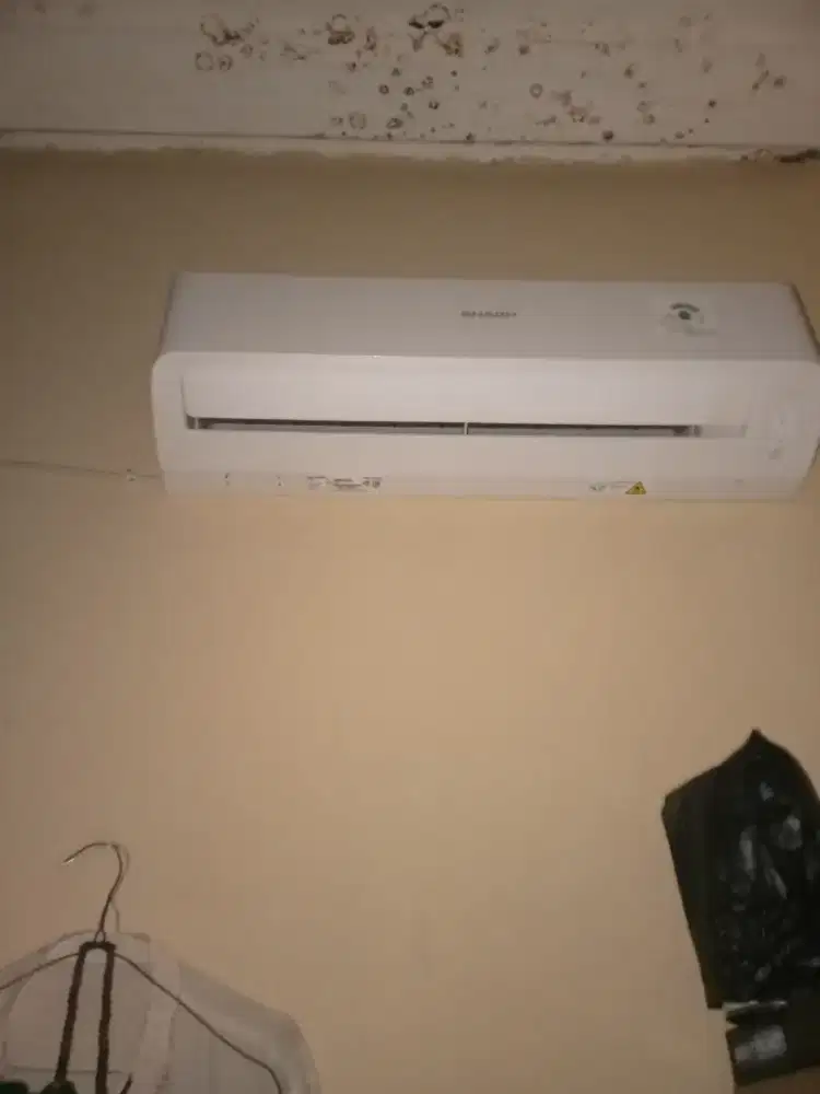 AC Sharp 1/2 PK