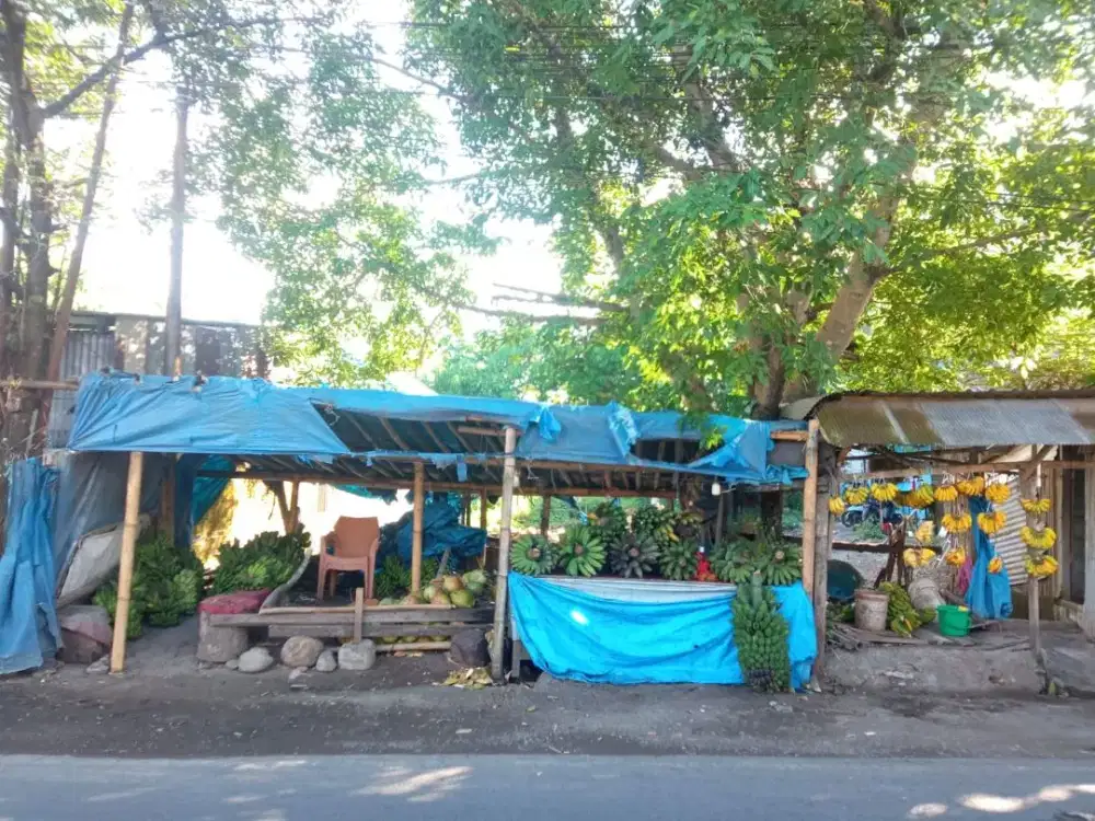 Dijual Tanah Sekitar Jalan Poros Mustafa Dg Bunga, Gowa