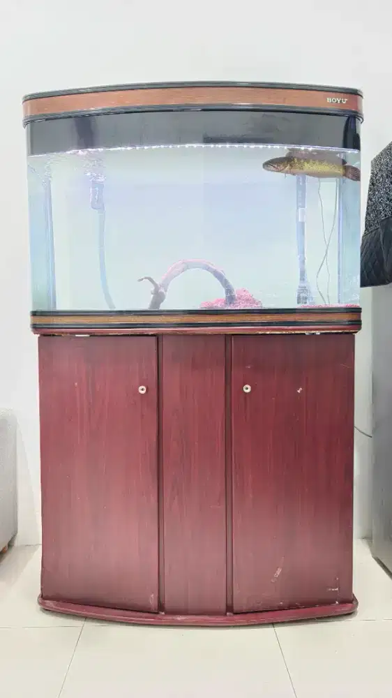 Aquarium Boyu full set