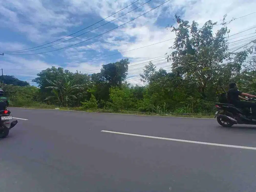 dijual tanah 20 are IDR 950 juta per are dikampus unud jimbaran badung bali
