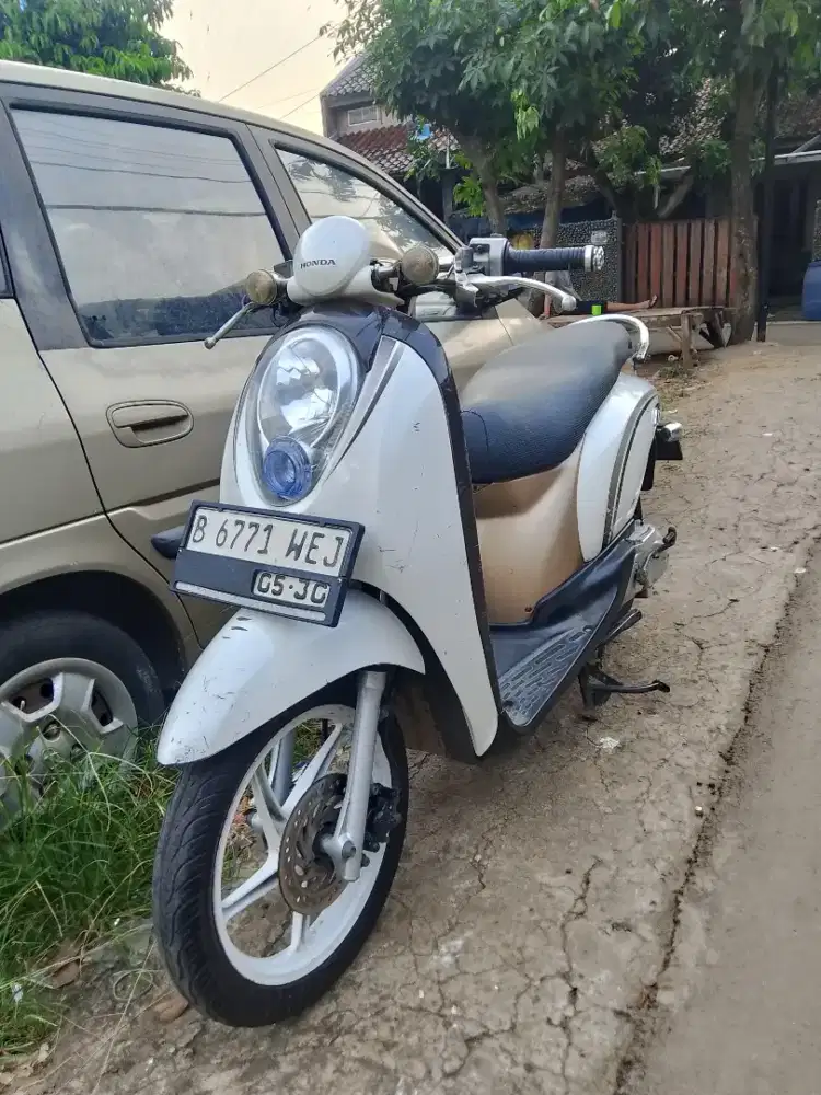 Scoopy karbu gress