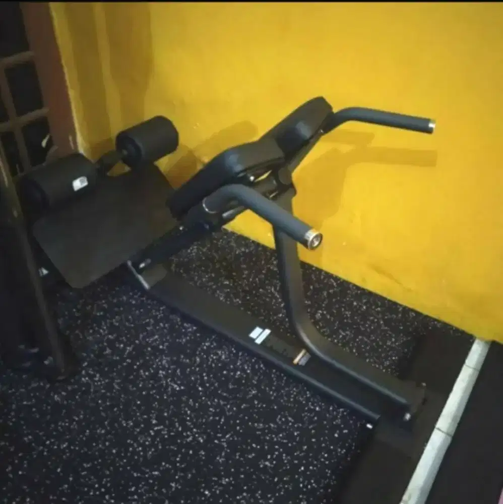 DHZ Back Extension Fusion Pro Series