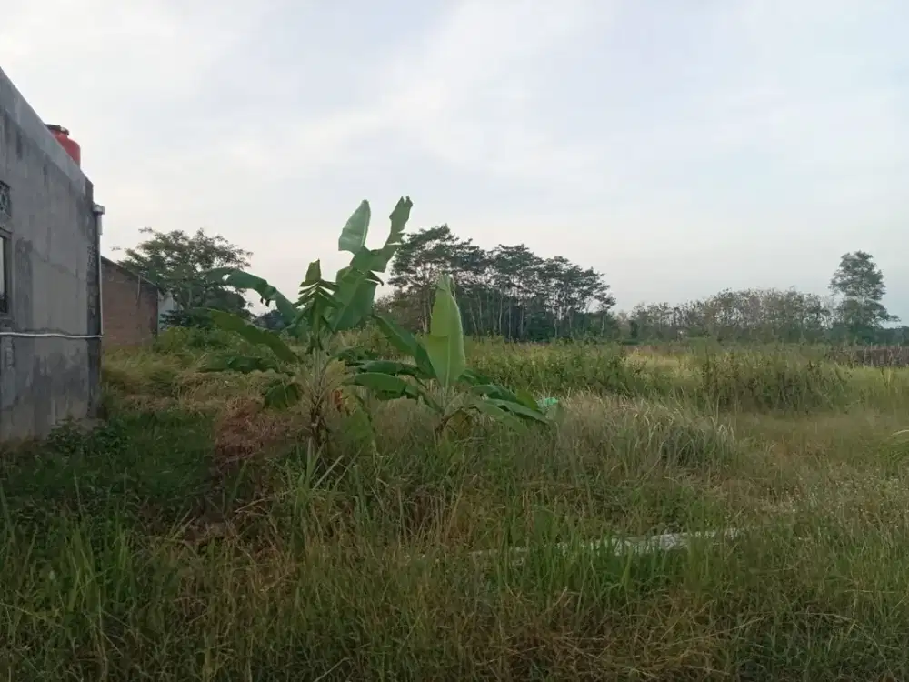 Dijual Cepat Lahan Zona Industri Lokasi Strategis Pedan,Klaten Luas 1,4 Ha BU!!