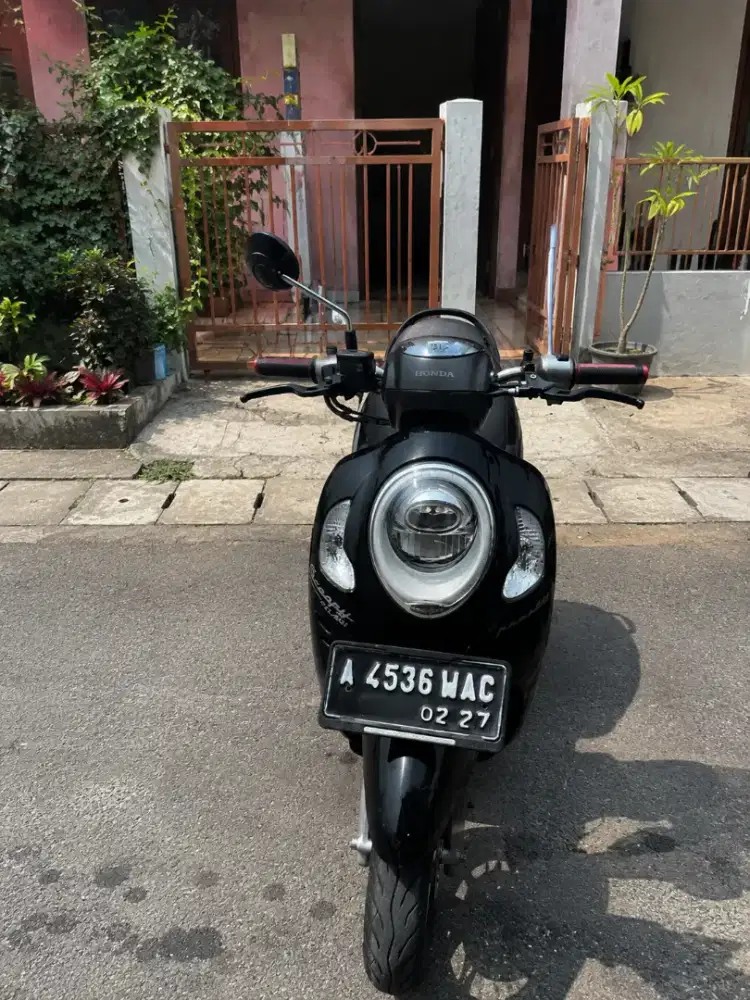Honda scoopy prestige
