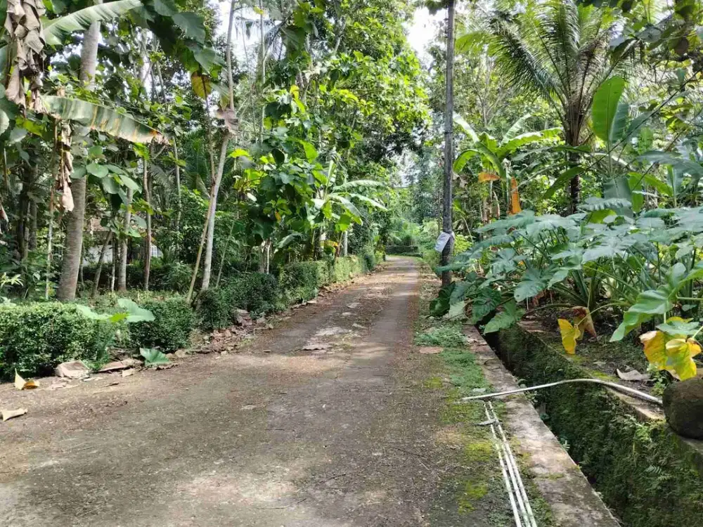 Tanah Murah dekat pasar Dekso