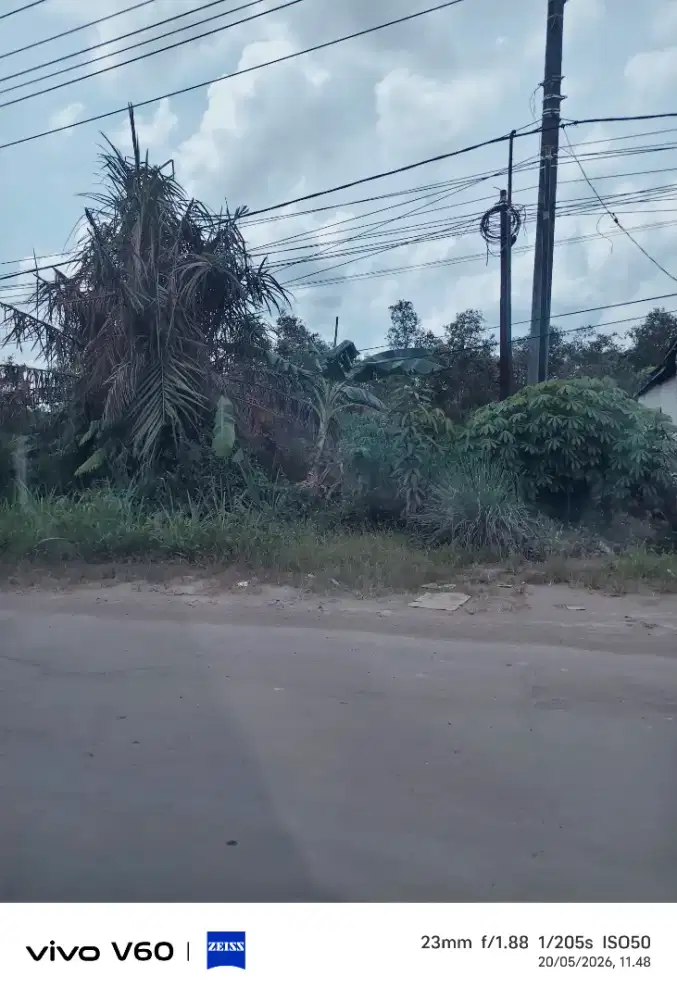 Dijual Tanah Tanjung Api Api