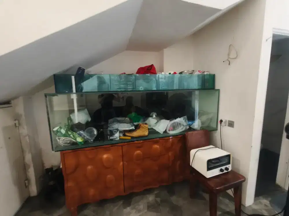 Aquarium Ikan Arwana kondisi bagus